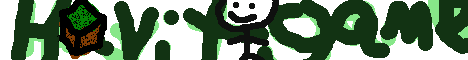 banner for havitgames server