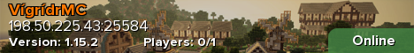 banner for VigridrMC server