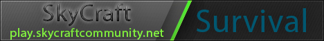 banner for SkyCraft server
