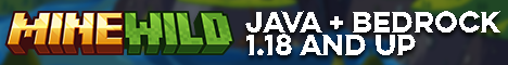 banner for MineWild server