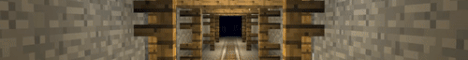 banner for Minerva server