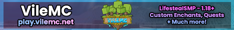 banner for VileMC server