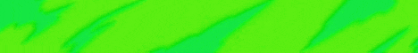 banner for EvoCraft server