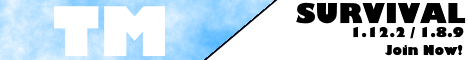 banner for ToastMan Craft server