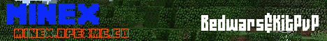 banner for MineX server
