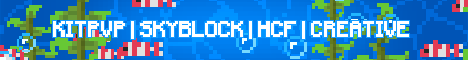 banner for VraxileMC Network server