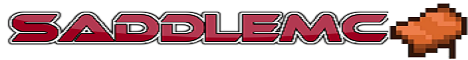 banner for Saddlemc server