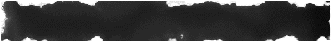 banner for WackyHackySurvival server
