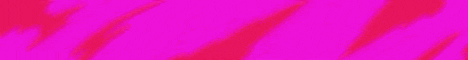 banner for GamerPal server