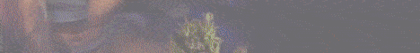 banner for Lost Gardens of Euphorya server