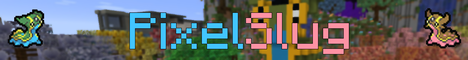 banner for PixelSlug server