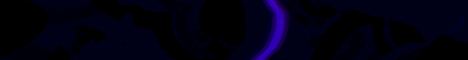 banner for SkyVillage server