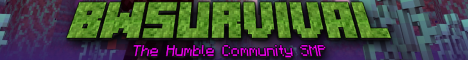banner for BW Survival server
