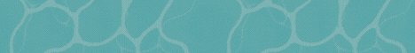 banner for Random Craft server