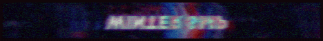 banner for Winter SMP server
