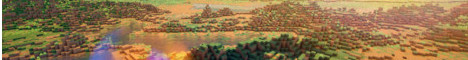 banner for SoSoft server