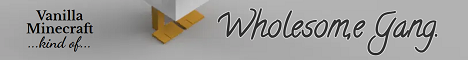 banner for Wholesome Gang server