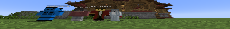 banner for LifeSteal SMP server