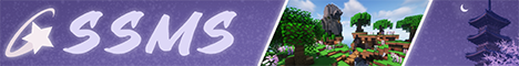 banner for SSMS server