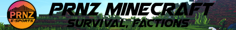 banner for PRNZ server