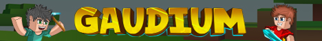 banner for Gaudium server