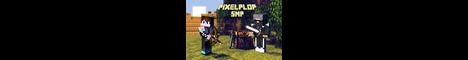 banner for Pixelplop Server Network server