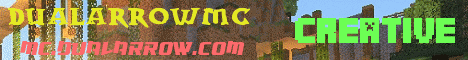 banner for DualArrowMC server