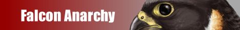 banner for Falcon Anarchy server