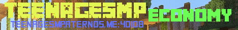 banner for TeenageSMP server