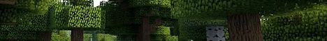 banner for Bright Earth server