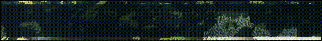 banner for Dark Haven Survival server