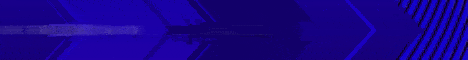 banner for The rish server