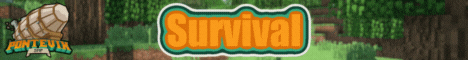 banner for Pontevix server