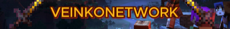 banner for VeinkoNetwork server