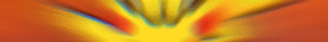 banner for PokeMetro server