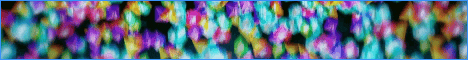 banner for RazerPVP server