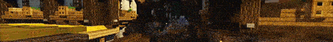 banner for Shiba Network server