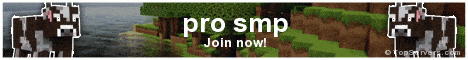 banner for pro smp server