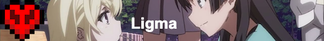 banner for ligmamc.net server