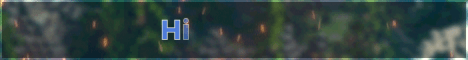 banner for HighStone server