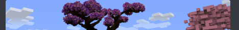 banner for CivPlus server