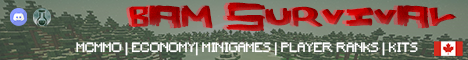 banner for BAM Survival server