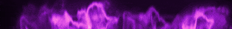 banner for biss peis server