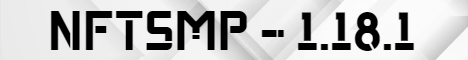banner for NFTSMP server