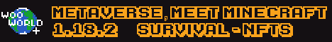 banner for WooWorldPlus server