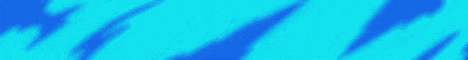 banner for playerborder server