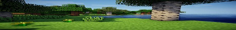 banner for EliteWars server