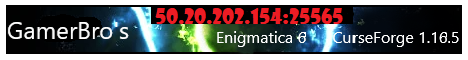 banner for GamerBro Enigmatica 8 server