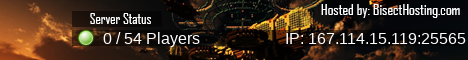 banner for TreasureSMP server