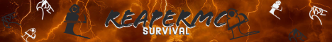 banner for ReperMC server